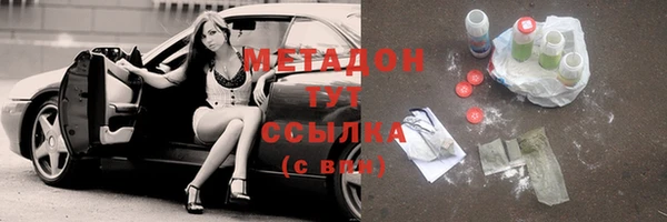 гидра Яровое