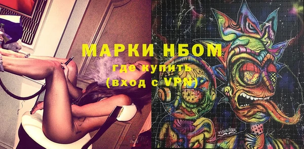 сатива Кулебаки
