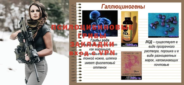 гашик Краснотурьинск