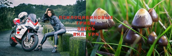 альфа пвп Кукмор