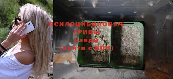 гашик Краснотурьинск