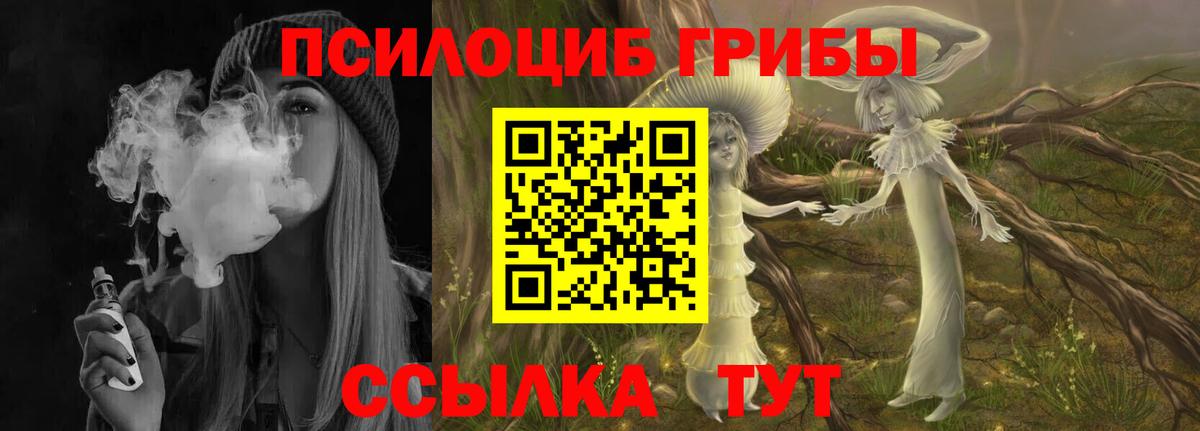 Галлюциногенные грибы Magic Shrooms  магазин продажи   Норильск  Псилоцибиновые грибы Magic Shrooms 